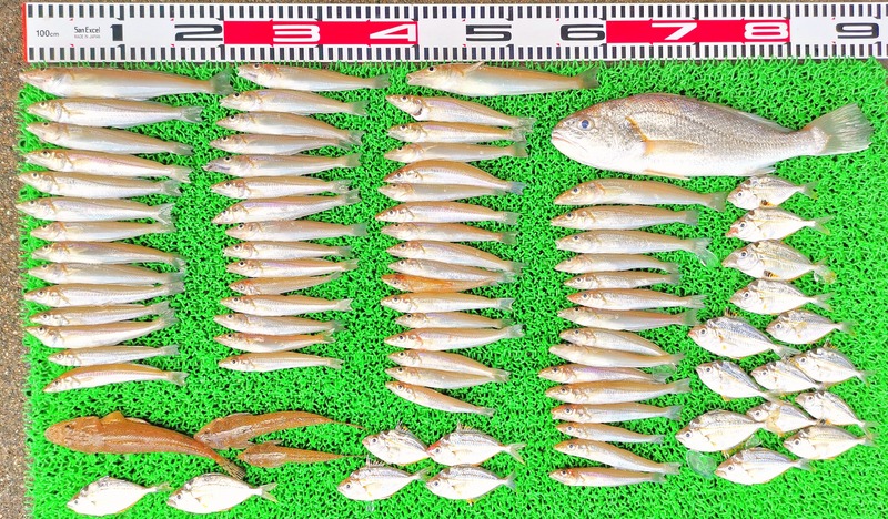 IMG_20220709_153542_edit_506756043021632