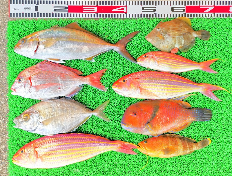 IMG_20230314_140827_edit_1153835511172361