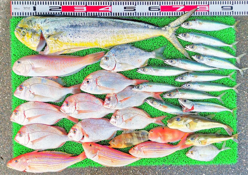 IMG_20251107_160556_edit_2324587701246329