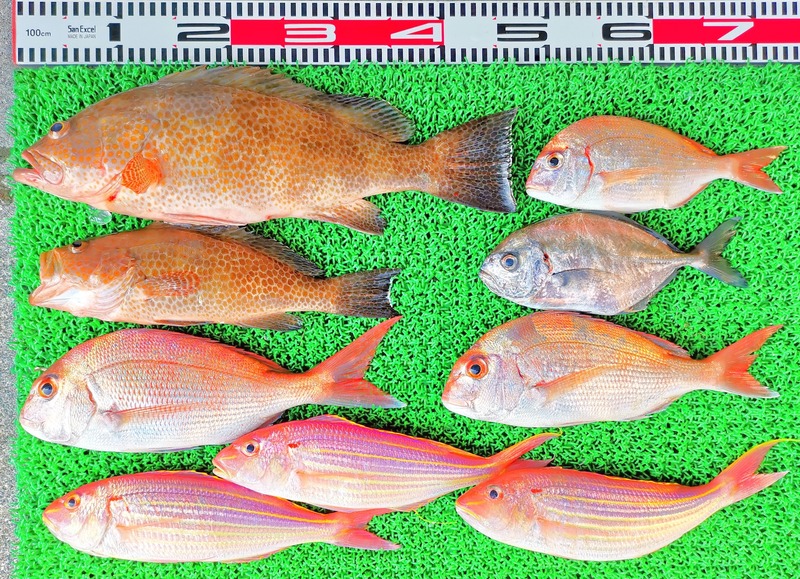 IMG_20230928_135943_edit_568095631932580