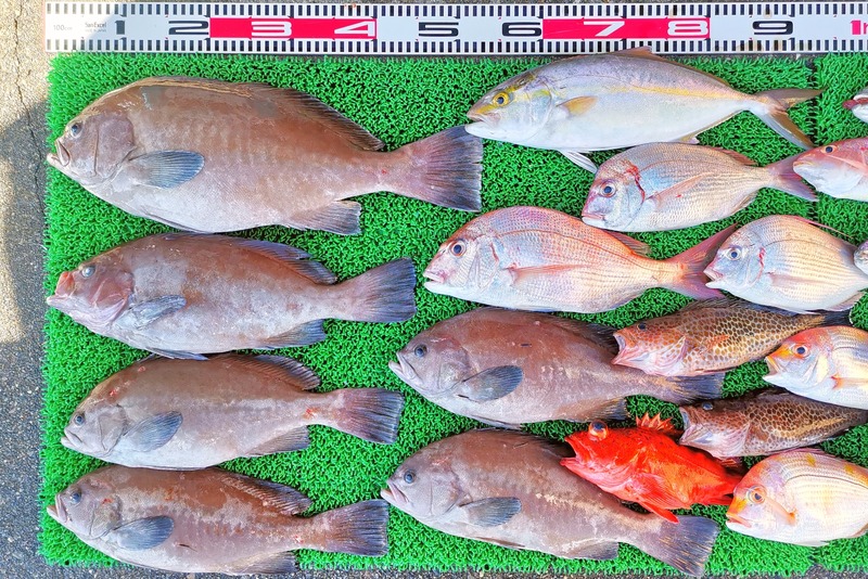 IMG_20251028_135617_edit_2100152521774847