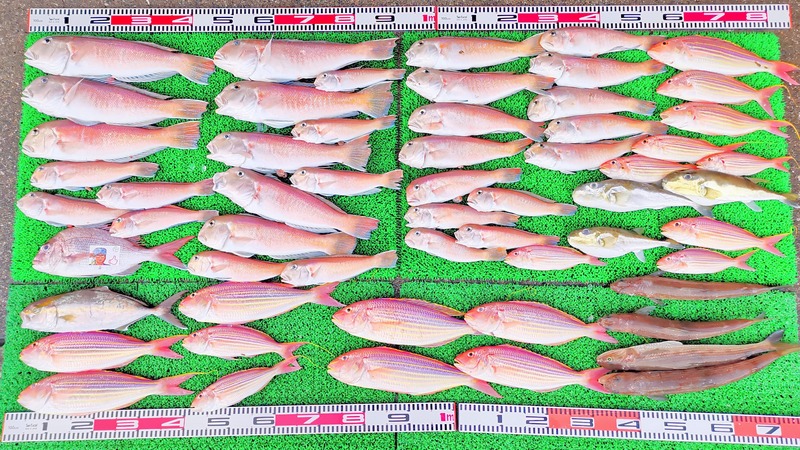 IMG_20241230_165358_edit_603223408940761