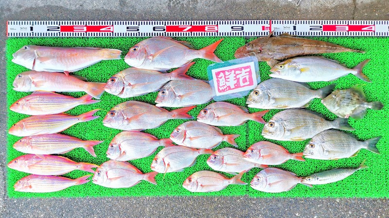 IMG_20240908_153148_edit_143655281634849