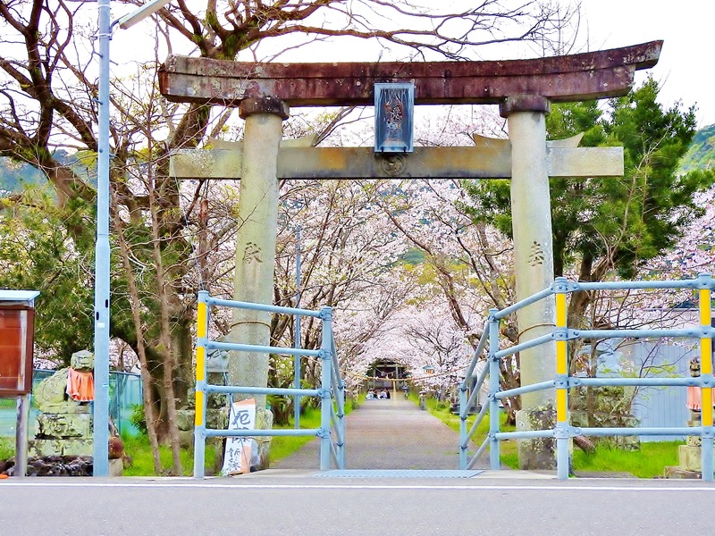 DSCN2263