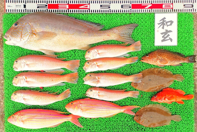 IMG_20241230_140721_edit_601773857951398