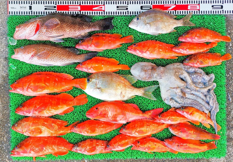 IMG_20251122_142827_edit_2629132552600379