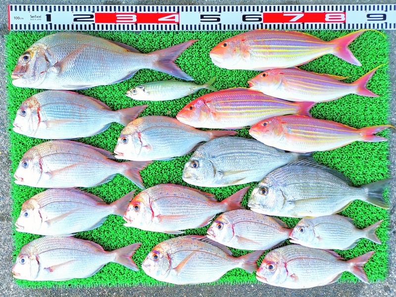 IMG_20211005_160744_edit_395708567807847