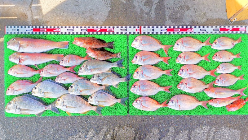 IMG_20251116_130307_edit_2500491080137717