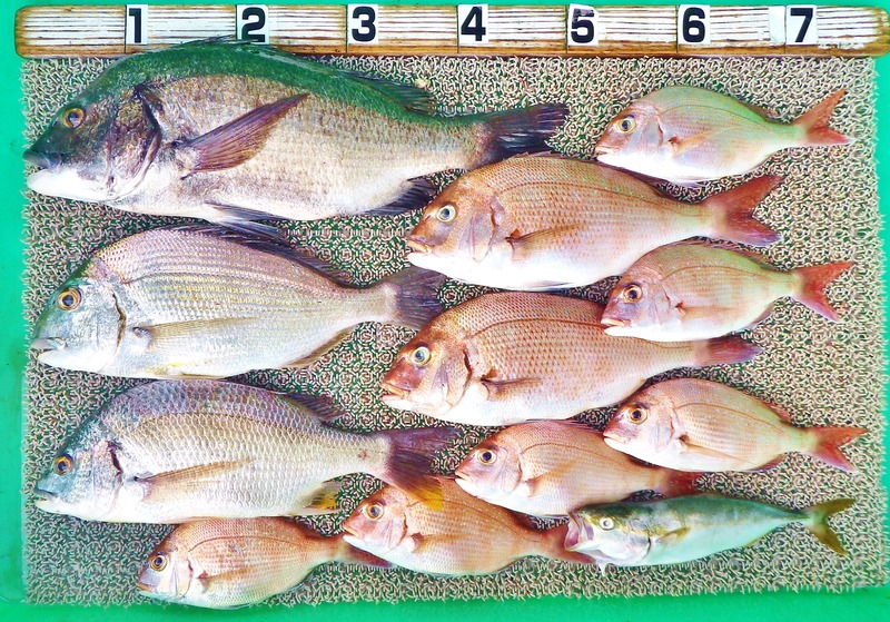 IMGP3992