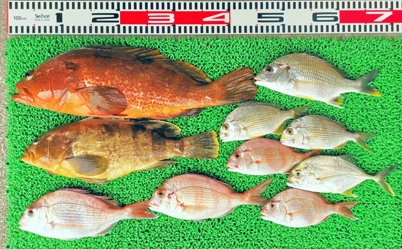 IMG_20251016_144339_edit_1856554577240142