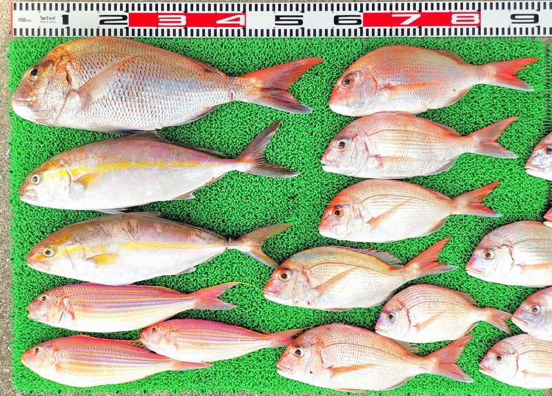 IMG_20251015_122728_edit_1827653484597156