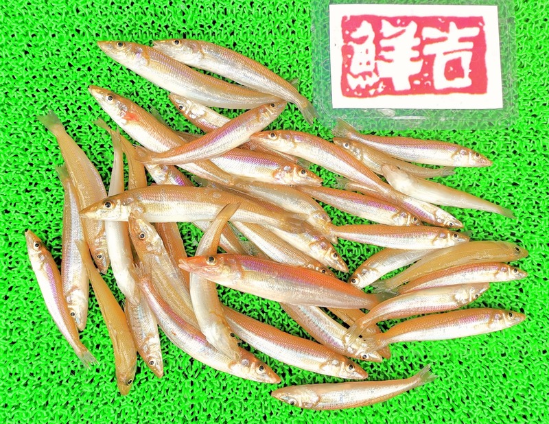 IMG_20220718_152025_edit_740301724945892