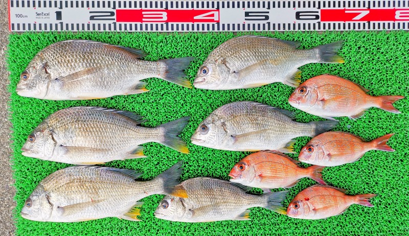 IMG_20230408_141442_edit_23839716489590