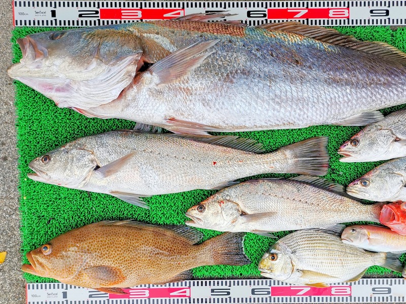 IMG_20251124_162318_edit_2675693635606816