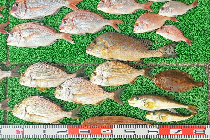 IMG_20251201_140725_edit_2823659438312363