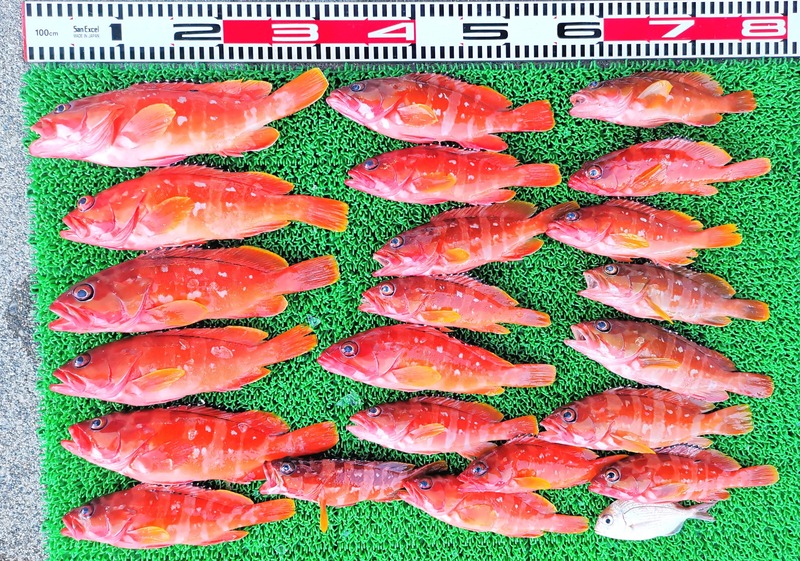 IMG_20251122_161738_edit_2629651911993008