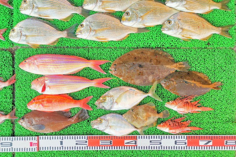 IMG_20251127_144242_edit_2735038069345677