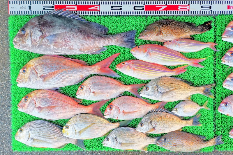 IMG_20251114_150235_edit_2458213460509793