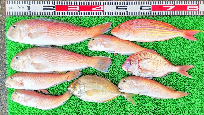 IMG_20241230_154519_edit_602660456933034