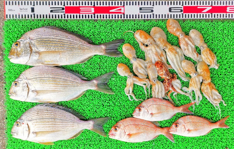 IMG_20220711_153637_edit_564316708390974