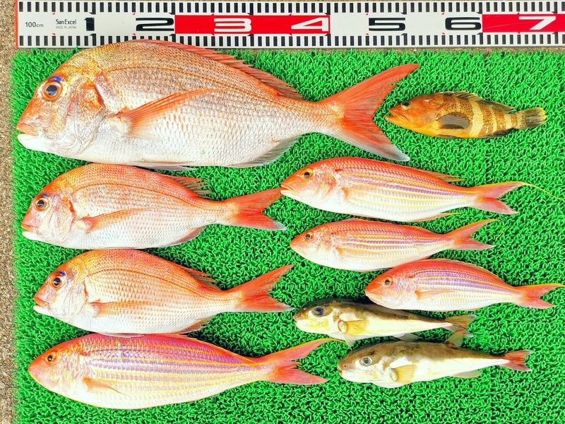 IMG_20251104_142835_edit_2270707879543092