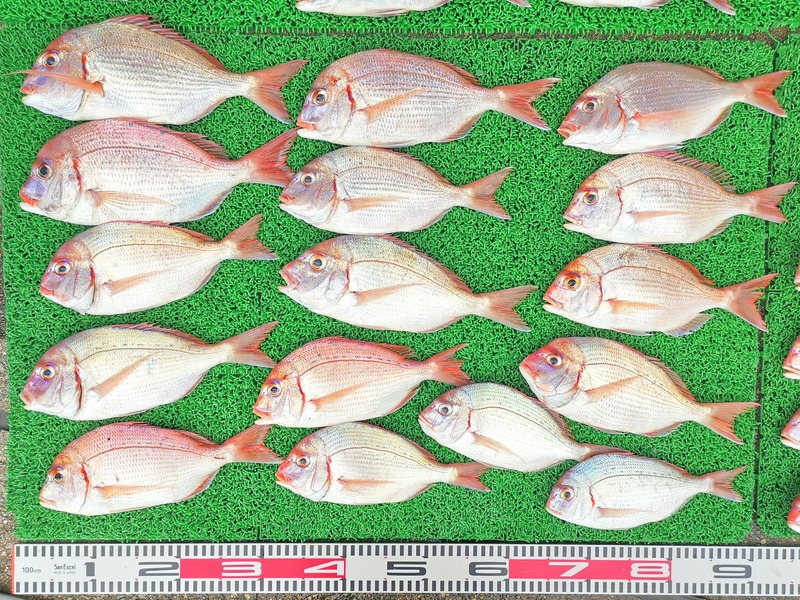 IMG_20251024_141653_edit_2014566627523323