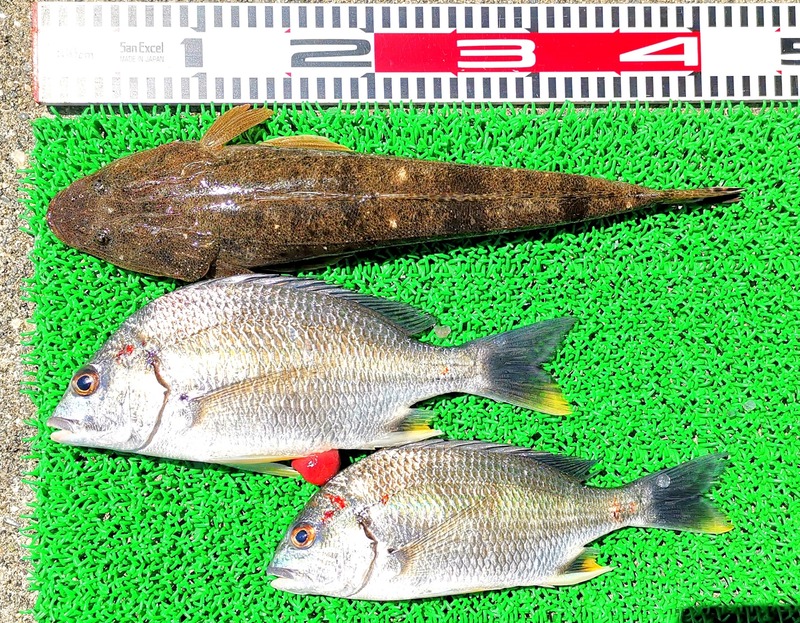 IMG_20230408_125105_edit_23749139992729