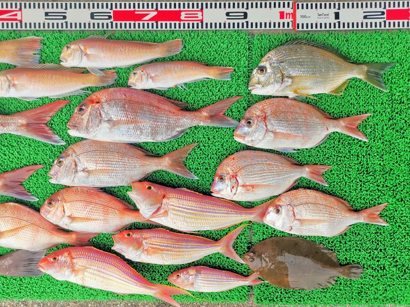 IMG_20251201_142153_edit_2823960371727942