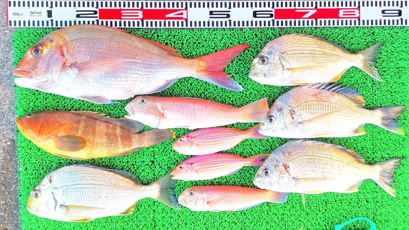 IMG_20251122_150343_edit_2629182445074330