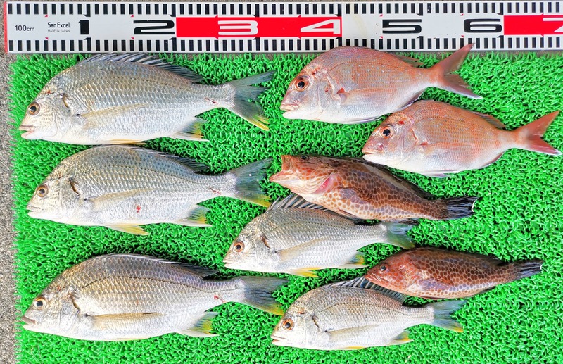 IMG_20251007_152953_edit_1651053539186082