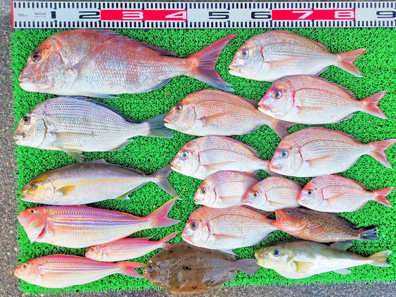 IMG_20211114_160135_edit_1060515995608488