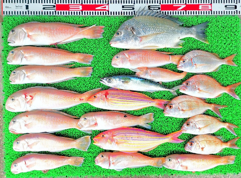 IMG_20220702_131033_edit_349953207646079