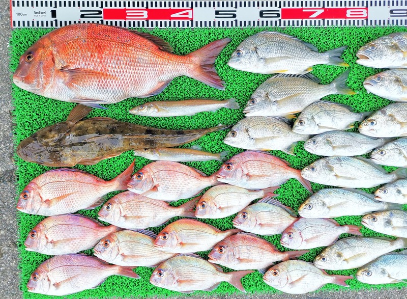 IMG_20220725_162109_edit_924713647560461