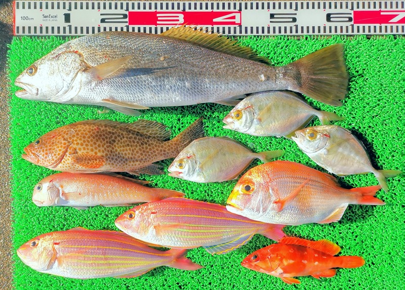 IMG_20260201_153029_edit_272447348588113