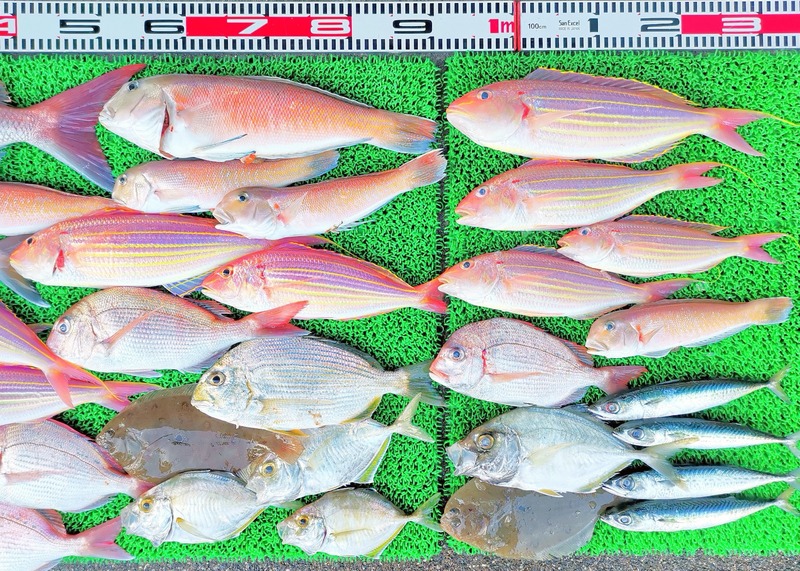 IMG_20251129_155622_edit_2784193229881927