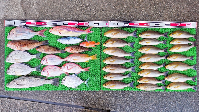 IMG_20251108_164339_edit_2343647970134566