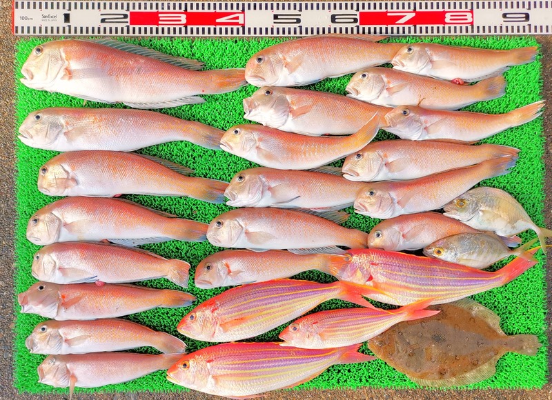 IMG_20241230_150537_edit_602135899148218