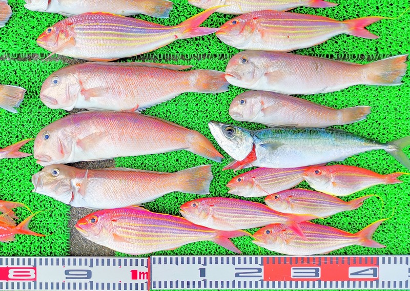 IMG_20220724_152613_edit_907916846119274