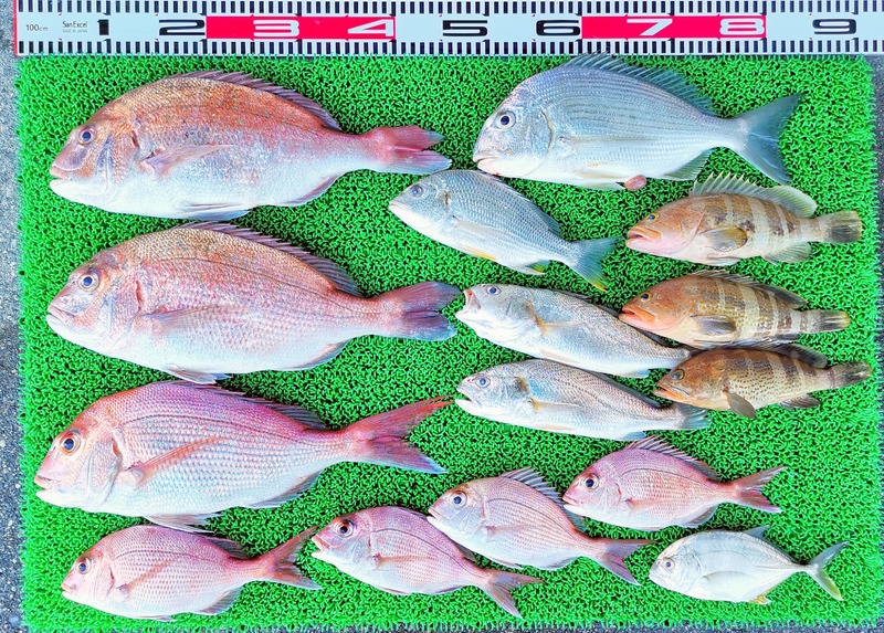 IMG_20240918_160704_edit_307646539901493