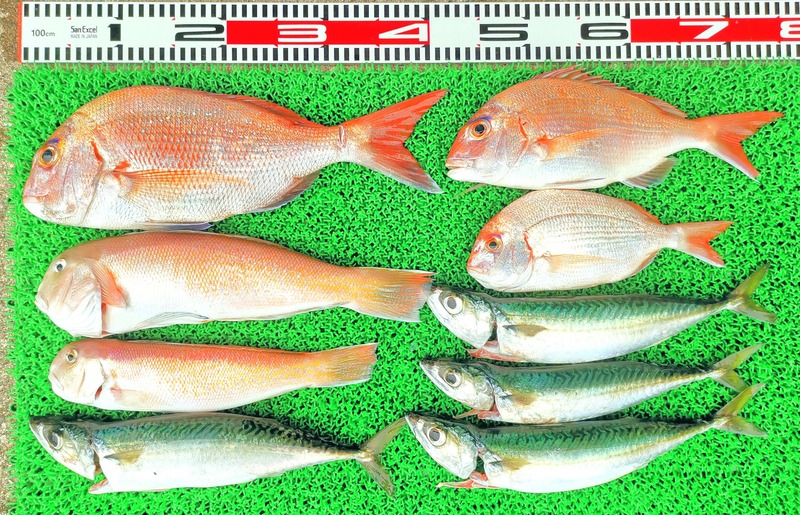 IMG_20220718_153500_edit_740577283407308