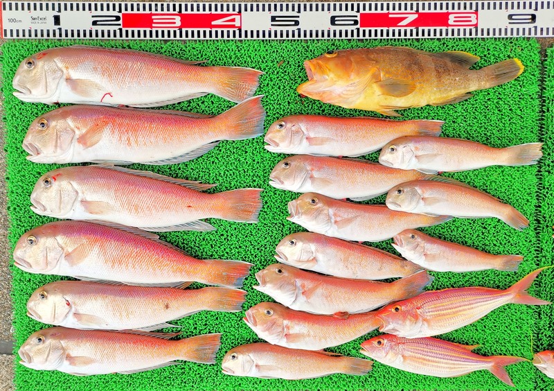 IMG_20241230_152703_edit_602362097703913