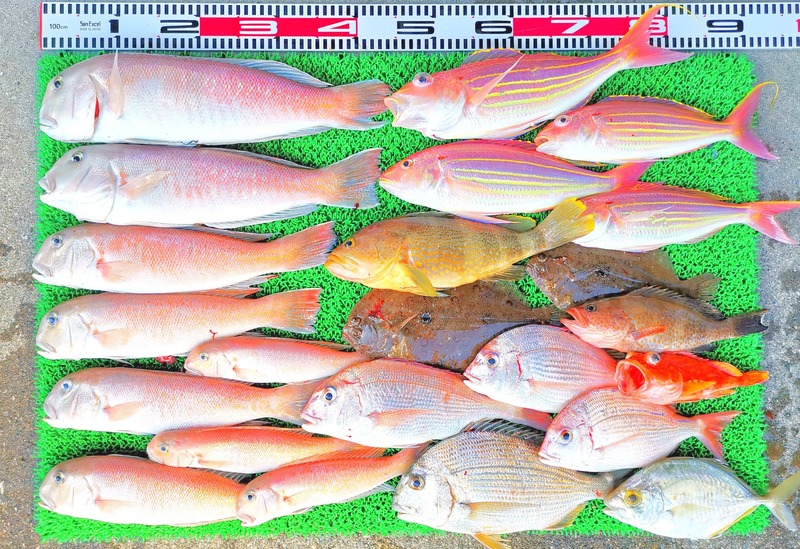 IMG_20251108_151545_edit_2343385914992940