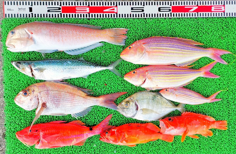 IMG_20241230_160656_edit_602830817316341