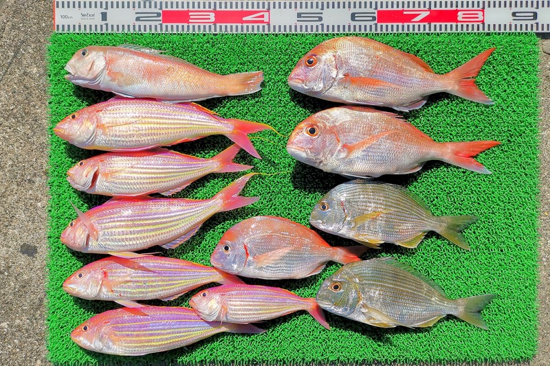 IMG_20211107_124802_edit_963411157497264