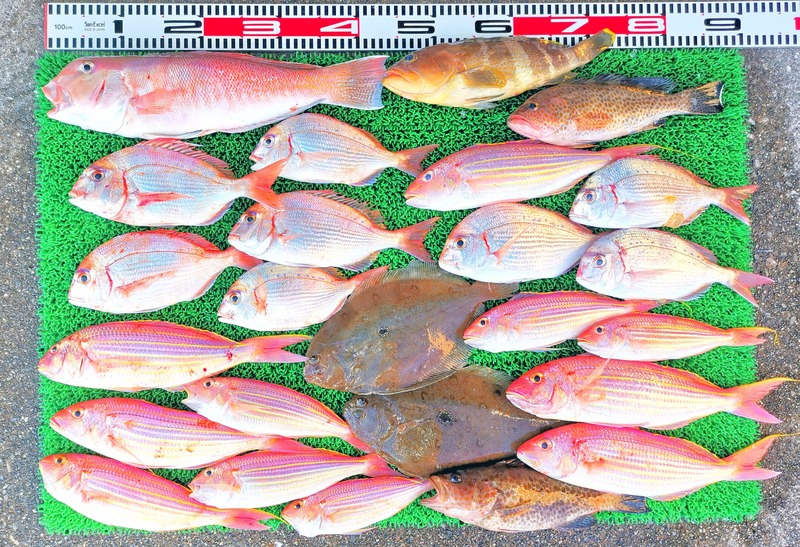 IMG_20251122_142026_edit_2629090655221740