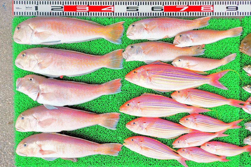 IMG_20251116_153420_edit_2500967194607436