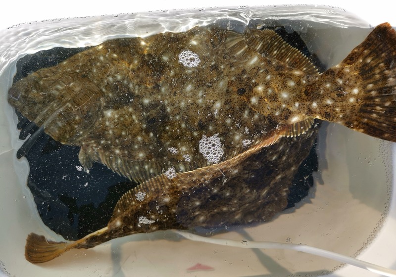 IMG_20250121_125612_edit_225657092558274