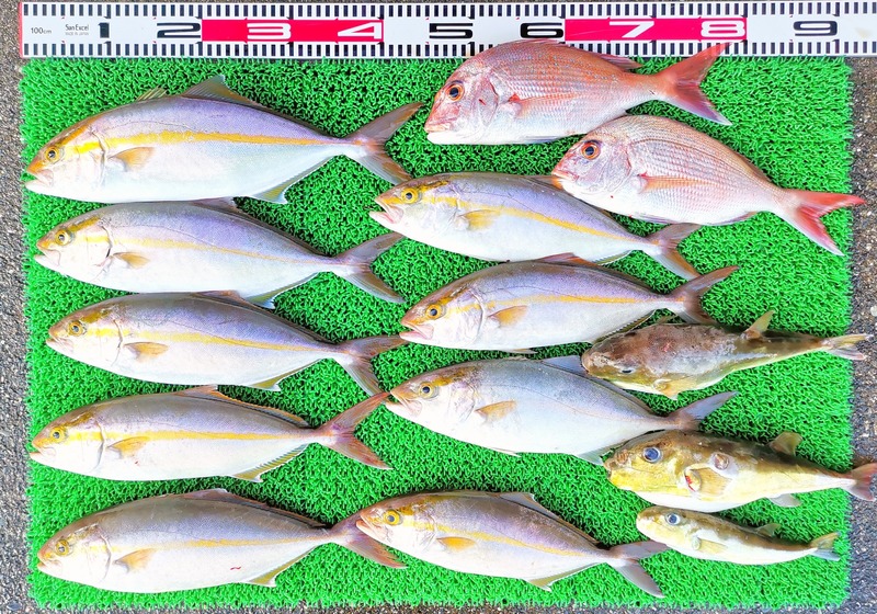 IMG_20251101_154226_edit_2197972701967732