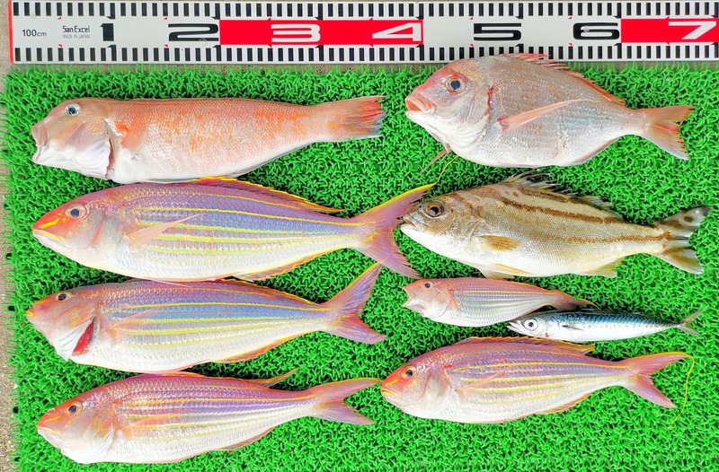 IMG_20220712_124007_edit_591866752558124