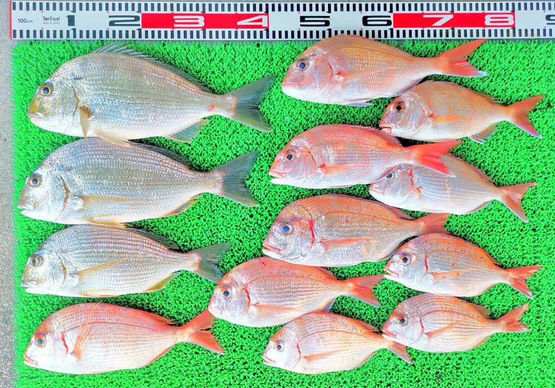 IMG_20251115_150829_edit_2481381038033862